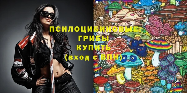 амф Алзамай