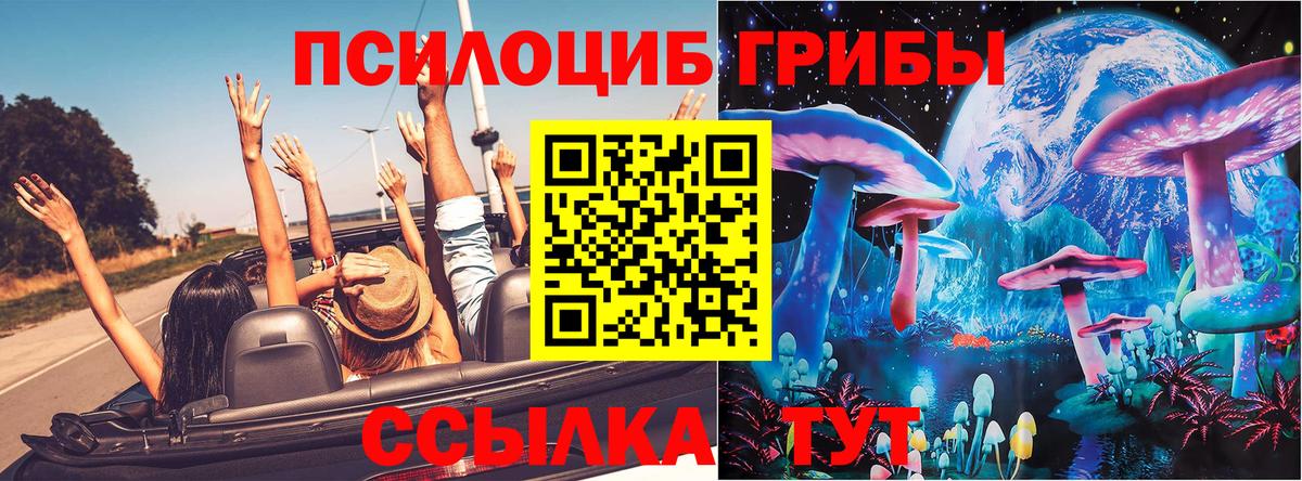 Галлюциногенные грибы Magic Shrooms  Псилоцибиновые грибы MAGIC MUSHROOMS  Шадринск  Вход с VPN 