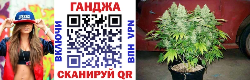 где можно купить наркотик  Шадринск  Каннабис семена 